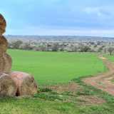 E infine l�itinerario �numero 8�, quello compreso tra le strade provinciali 39 e 238, all'estremo sud del territorio di Ruvo di Puglia. Si sviluppa in localit� Piano D'Annaia attraverso 13 chilometri fatti di stradine di campagna e tratturi